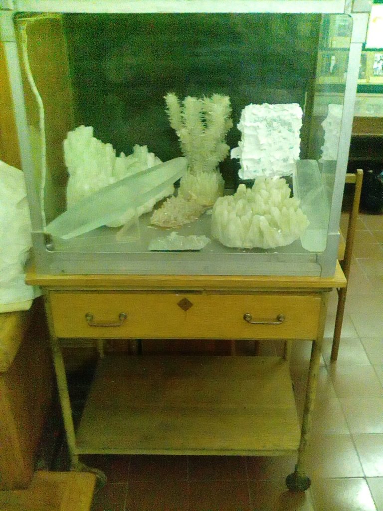 Макет с кораллами музей физики МГУ